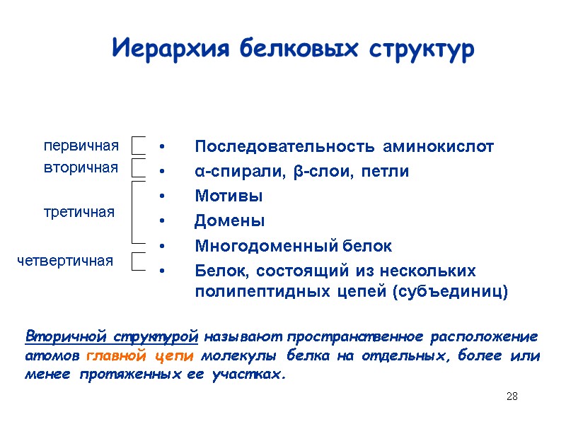 28 Иерархия белковых структур Последовательность аминокислот α-спирали, β-слои, петли Мотивы Домены Многодоменный белок Белок,